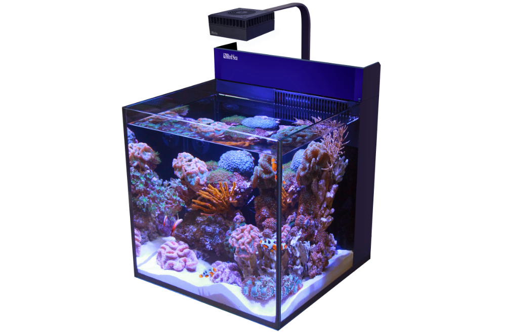 Red Sea Max Nano Cube mit ReefLED 50 Beleuchtung
