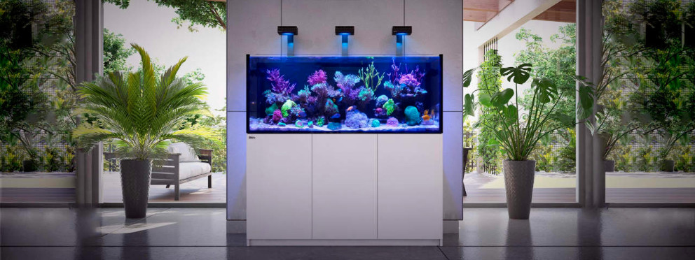 Red Sea Reefer Aquarium