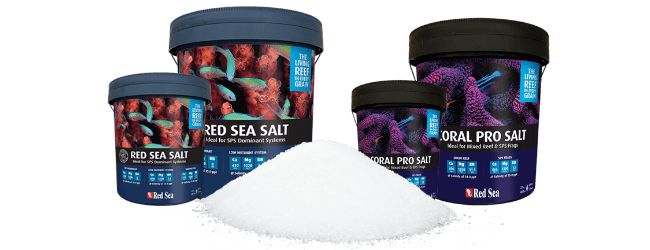 Dieses Bild zeigt die Red Sea Salz Serie
