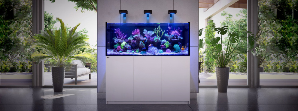 Meerwasser-Aquarium Komplettset