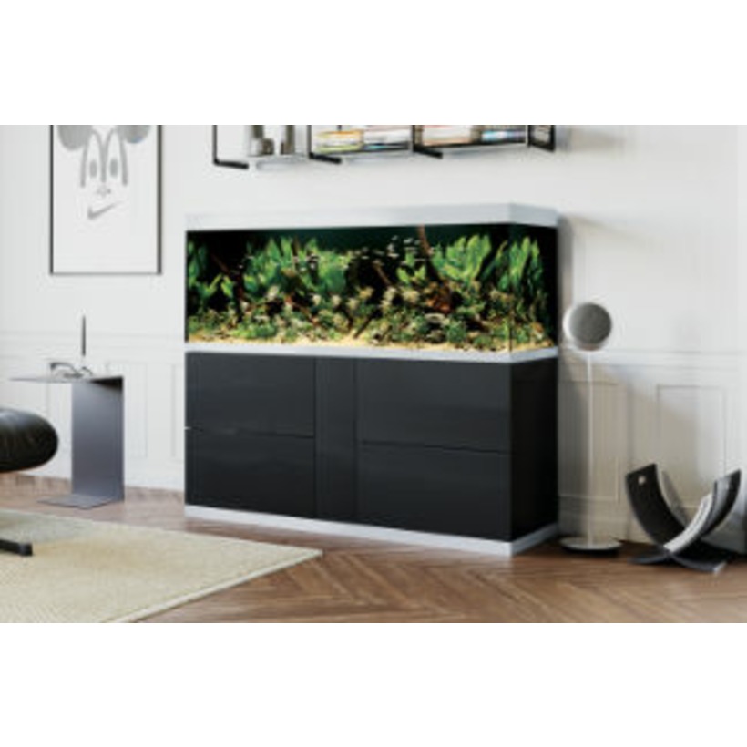 Süßwasser Aquarium