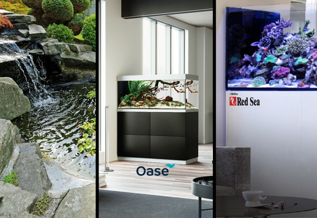 Angebot aquaristik-shop.eu