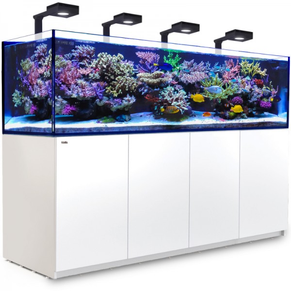 Red Sea Reefer 900 G2+ Deluxe weiss