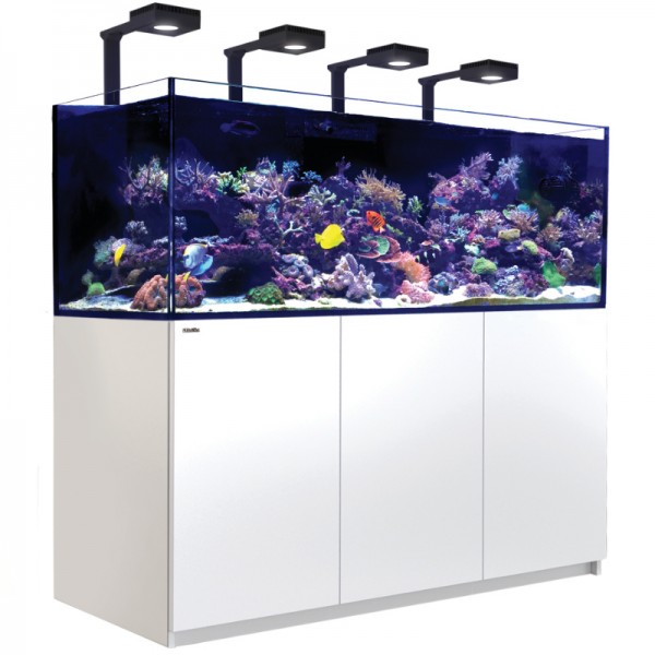 Red Sea Reefer 750 G2 Deluxe weiß