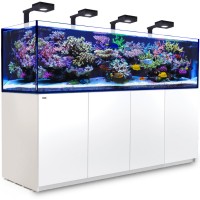 Red Sea Reefer 900 G2 Deluxe weiss
