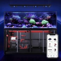 Red Sea REEFER MAX Peninsula S-950 G2+