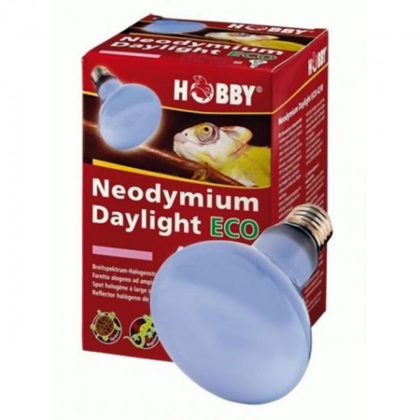 Hobby Neodymium Daylight Eco 42 W
