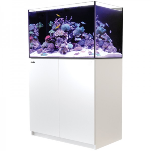 Red Sea Reefer 250 G2 weiss