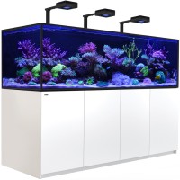 Red Sea Reefer-S 1000 G2 Deluxe weiss