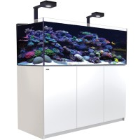 Red Sea Reefer 625 G2+ MAX weiss