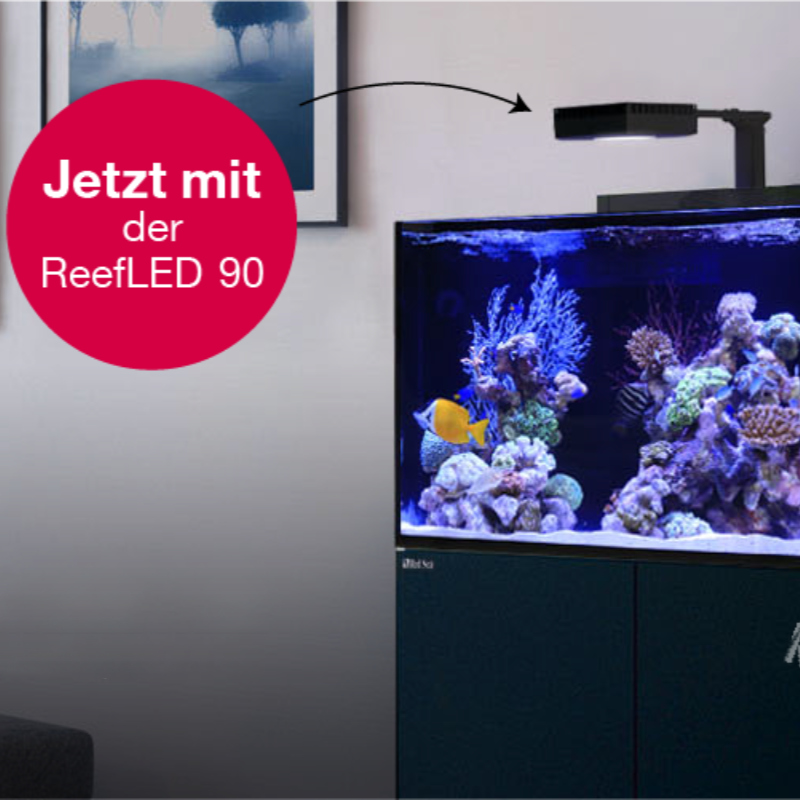 optimale LED Beleuchtung