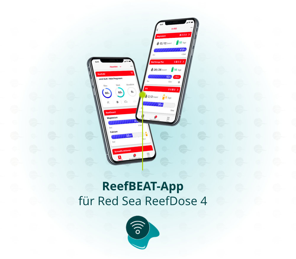 Dieses Bild zeigt die Red Sea ReefBeat App für die ReefDose 4