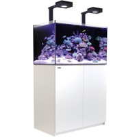 Red Sea Reefer 300 G2 Deluxe weiß