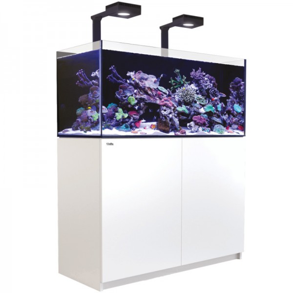 Red Sea Reefer 425 G2 Deluxe weiss