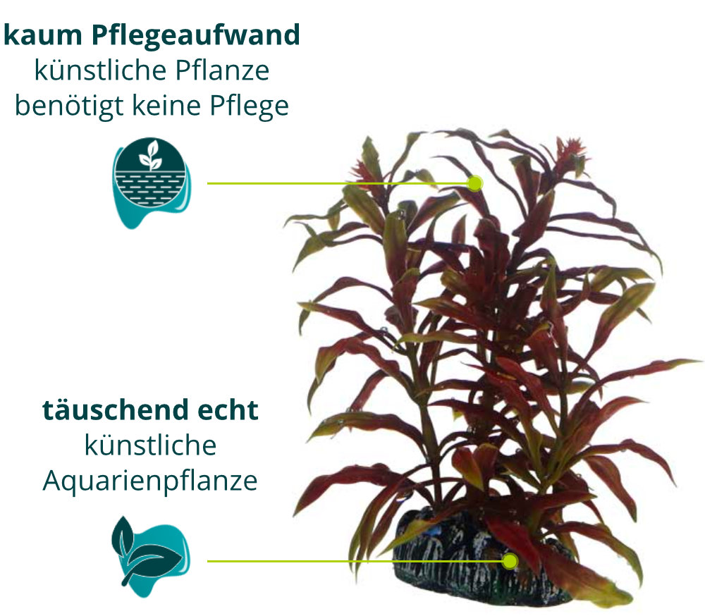 Dieses Bild zeigt die Hobby Nesaea - Aquarium Kunstpflanze